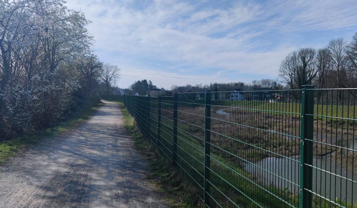 Weg entlang dem Hochwasser Rückhaltebecken