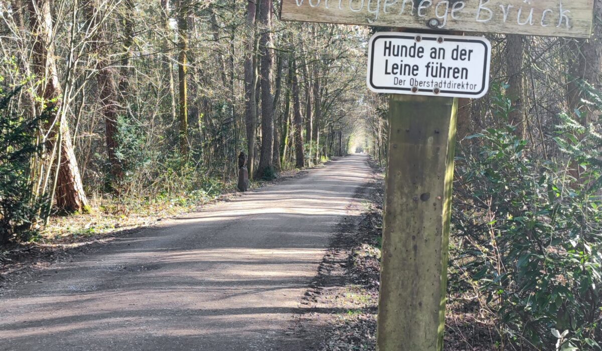 Laufstrecke zum Tierpark